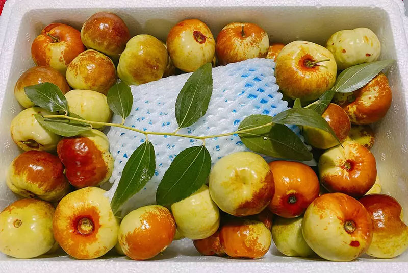 Hồng táo Trung Quốc đổ chợ, 550 nghìn/kg vẫn siêu đắt khách-2