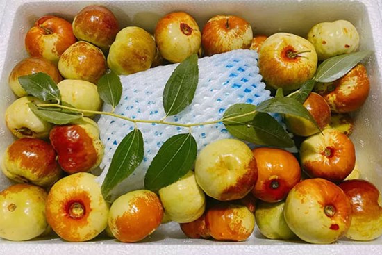 Hồng táo Trung Quốc đổ chợ, 550 nghìn/kg vẫn siêu đắt khách