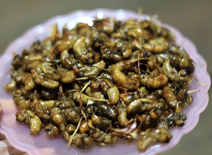 Khám phá chợ côn trùng lớn nhất Tây Bắc, bày bán đủ các đặc sản núi rừng-10