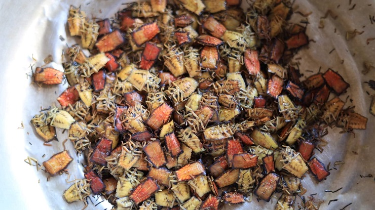 Khám phá chợ côn trùng lớn nhất Tây Bắc, bày bán đủ các đặc sản núi rừng-14