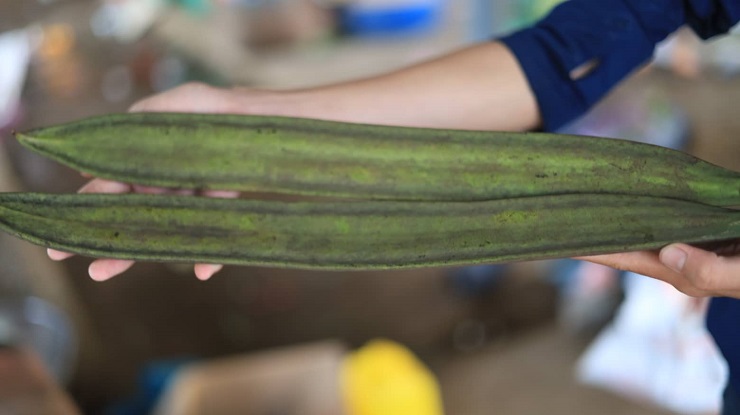 Khám phá chợ côn trùng lớn nhất Tây Bắc, bày bán đủ các đặc sản núi rừng-15