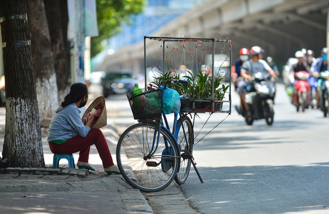 Nắng nóng diện rộng quay trở lại miền Bắc-1