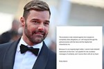 Ricky Martin phủ nhận tuyên bố gây sốc về mối quan hệ loạn luân với cháu trai-2