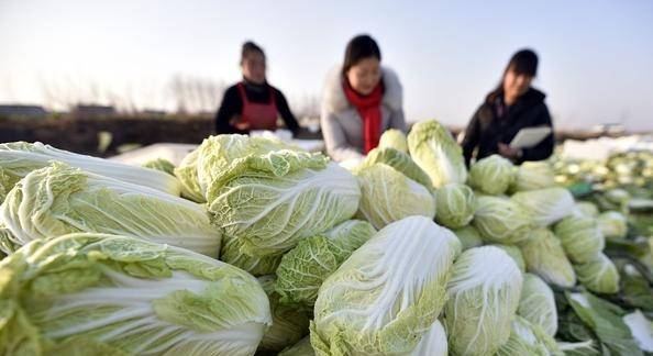 Đi chợ nên chọn kỹ 5 món dễ chứa formaldehyde này, đừng ham rẻ kẻo rước độc-3