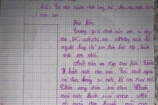 Tả anh trai bàn chân to, hay chém gió, có IQ cao hơn cả Einstein, bài văn của cô bé lớp 5 khiến dân mạng cười nắc nẻ