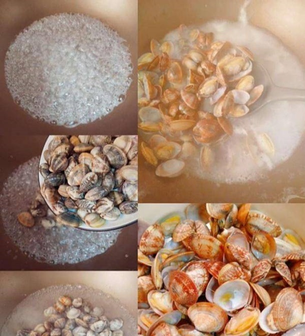 Ngao xào cay theo công thức này là món khoái khẩu ngày hè, ăn một lần nhớ mãi hương vị độc đáo-4