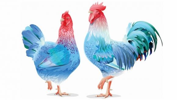 Top 3 con giáp đầu năm lận đận, cuối năm 2022 đổi vận vượt trội, cực kỳ giàu có-3