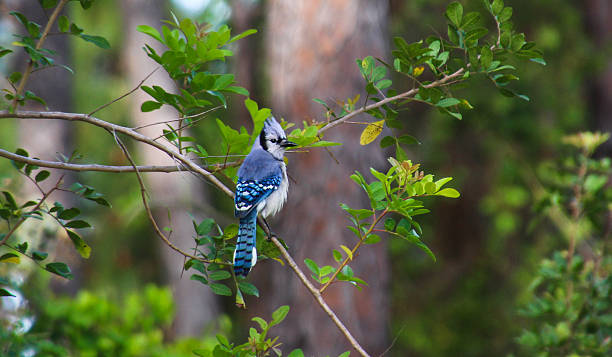 Ai sinh ngày Âm lịch này cuộc đời suôn sẻ, tiền tài đều sung túc, hiếm khi chịu thiệt thòi-1