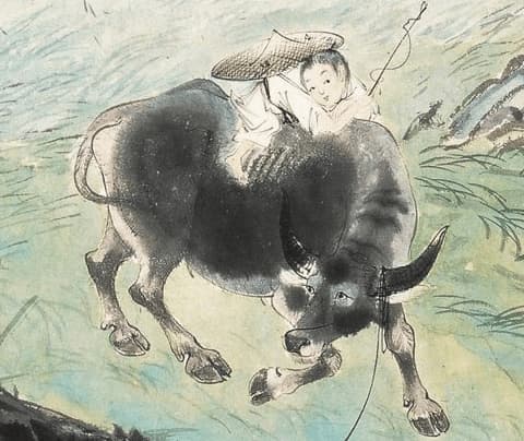 Nếu lấy được 4 vợ thuộc con giáp này, bạn sẽ gặp may mắn cả đời-4