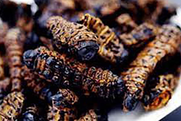 Loài cua biết leo cây, nhìn đáng sợ nhưng là đặc sản nổi tiếng, ở Việt Nam bán 500.000 đồng/kg-12