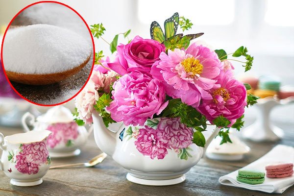 Cho vài giọt nước chanh vào bình hoa: Đơn giản mà được lợi ích cực lớn, mẹo hay Hoàng gia Anh mê tít-4
