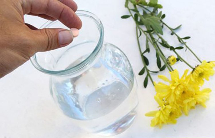 Cho vài giọt nước chanh vào bình hoa: Đơn giản mà được lợi ích cực lớn, mẹo hay Hoàng gia Anh mê tít-5