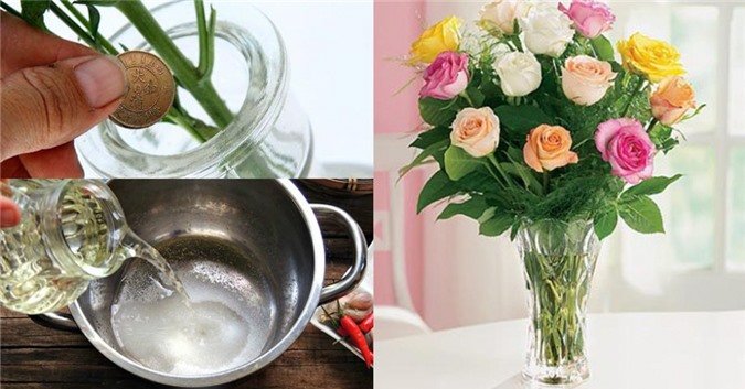 Cho vài giọt nước chanh vào bình hoa: Đơn giản mà được lợi ích cực lớn, mẹo hay Hoàng gia Anh mê tít-8