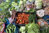 ‘Choáng’ với độ an toàn thực phẩm chợ đầu mối: Có đủ thuốc trừ sâu, kim loại nặng