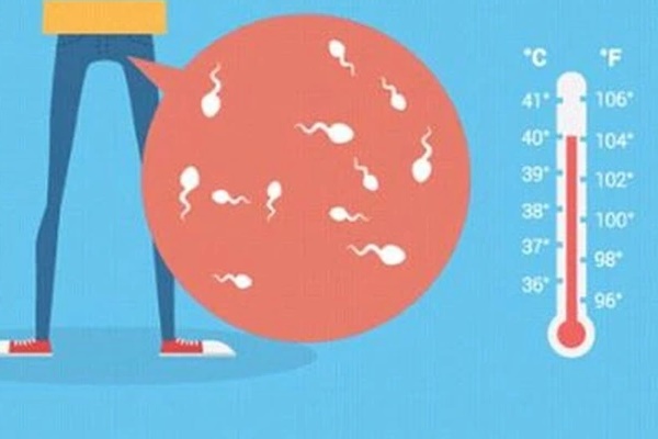 Nóng 40 độ: Ngồi yên xe phơi nắng coi chừng viêm phụ khoa, giảm tinh binh-2