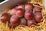 Trái cây nhập khẩu ngập chợ Việt với giá siêu rẻ”, táo Fuji chỉ từ 50 nghìn đồng/kg-5