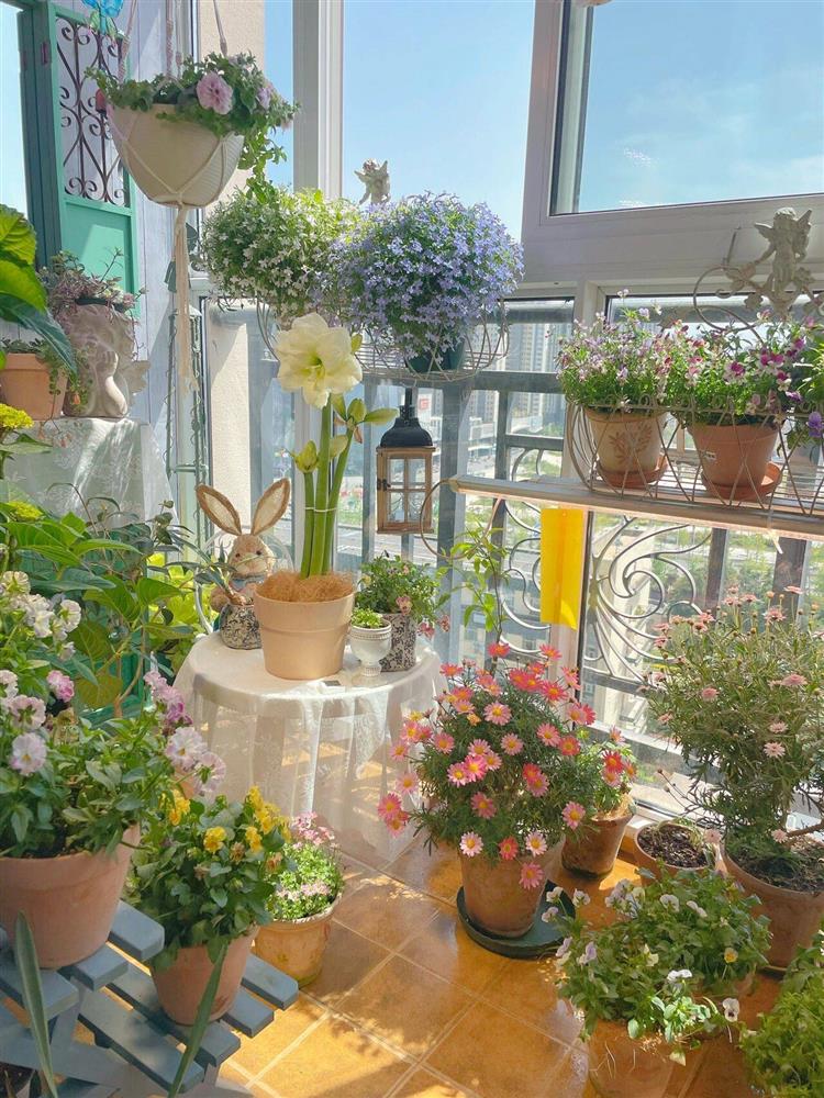 Khu vườn ban công chỉ vỏn vẹn vài mét vuông mà đếm mỏi tay số lượng hoa có trong vườn-1