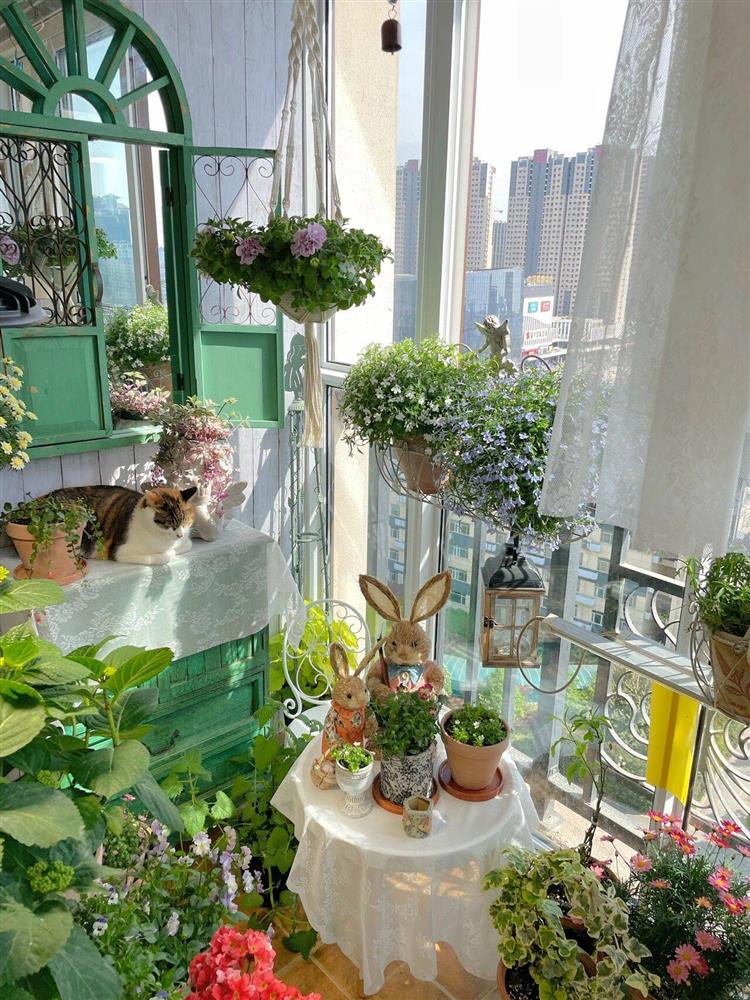 Khu vườn ban công chỉ vỏn vẹn vài mét vuông mà đếm mỏi tay số lượng hoa có trong vườn-4