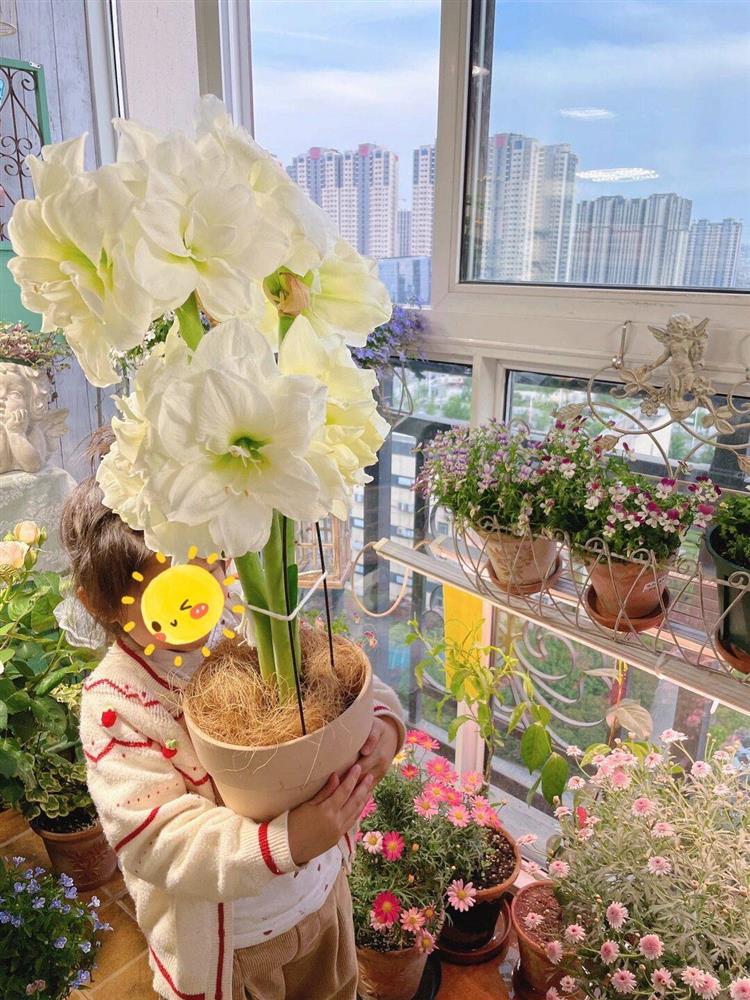 Khu vườn ban công chỉ vỏn vẹn vài mét vuông mà đếm mỏi tay số lượng hoa có trong vườn-9