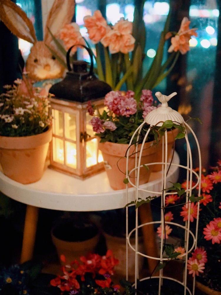 Khu vườn ban công chỉ vỏn vẹn vài mét vuông mà đếm mỏi tay số lượng hoa có trong vườn-31