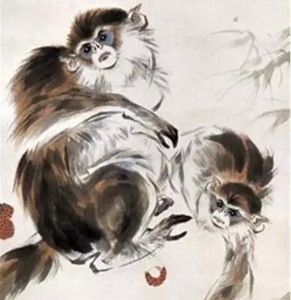 Những người thuộc con giáp này tính cách chu đáo, sâu sắc và càng về già càng kiếm được nhiều tiền-3