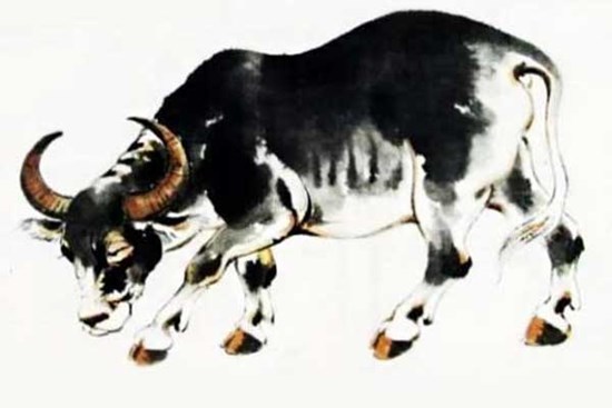 Những người thuộc con giáp này tính cách chu đáo, sâu sắc và càng về già càng kiếm được nhiều tiền