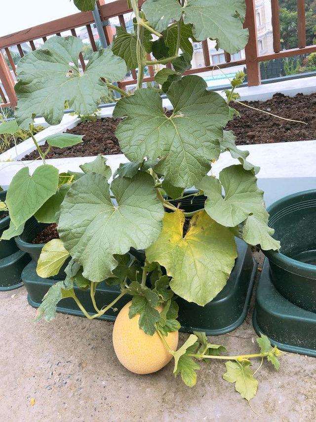 Những chi tiết trong căn nhà chứng tỏ đẳng cấp khủng của hoa hậu từng được chồng cũ thưởng 6 tỷ khi giảm cân-20