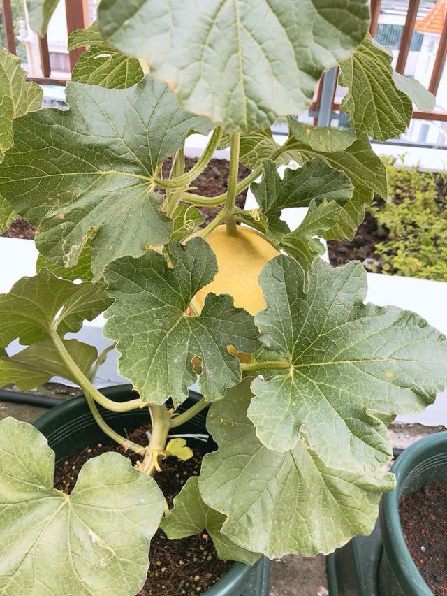 Những chi tiết trong căn nhà chứng tỏ đẳng cấp khủng của hoa hậu từng được chồng cũ thưởng 6 tỷ khi giảm cân-21