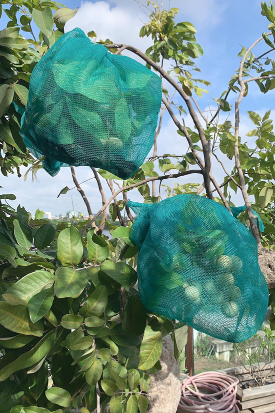 Những chi tiết trong căn nhà chứng tỏ đẳng cấp khủng của hoa hậu từng được chồng cũ thưởng 6 tỷ khi giảm cân-26