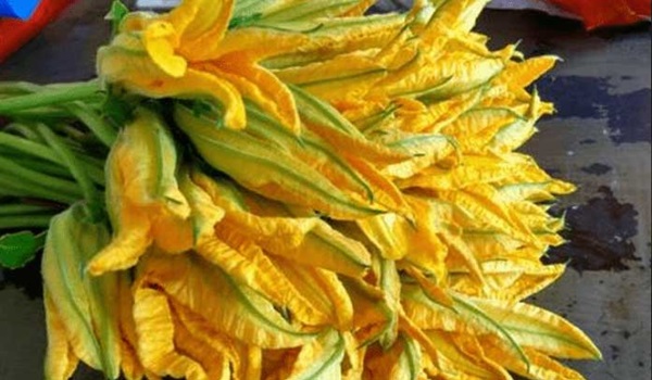 Loài hoa này được ví như thuốc quý, ăn vào mùa hè rất thơm ngon, bổ sung dinh dưỡng đầy đủ còn giúp tiêu độc-2