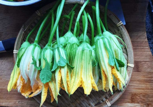 Loài hoa này được ví như thuốc quý, ăn vào mùa hè rất thơm ngon, bổ sung dinh dưỡng đầy đủ còn giúp tiêu độc-3