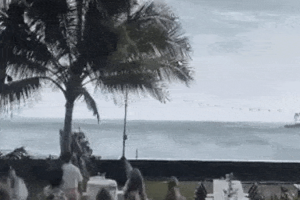 Khoảnh khắc đáng nhớ tại hôn lễ ở Hawaii: Con sóng lớn vô tình 