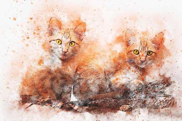 5 nốt ruồi dễ thấy trên gương mặt người phụ nữ giàu sang không ai sánh bằng, cả đời sống trong nhung lụa-4