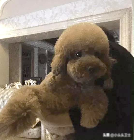 Biệt thự của diễn viên Dương Tử như lâu đài trị giá hơn 140 tỷ đồng-6