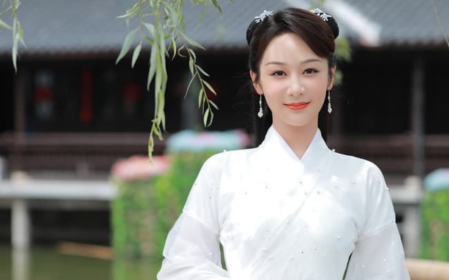 Biệt thự của diễn viên Dương Tử như lâu đài trị giá hơn 140 tỷ đồng-1