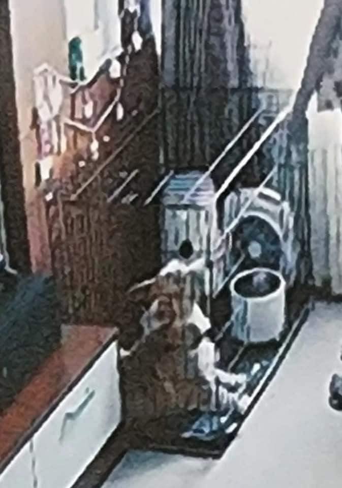 Vụ bé 8 tuổi bị bạo hành: Những hình ảnh chấn động, chưa từng công bố-8