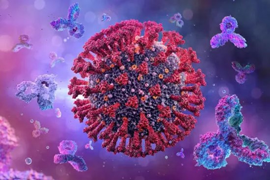 Việt Nam đã xuất hiện biến thể phụ BA.2.12.1 của Omicron