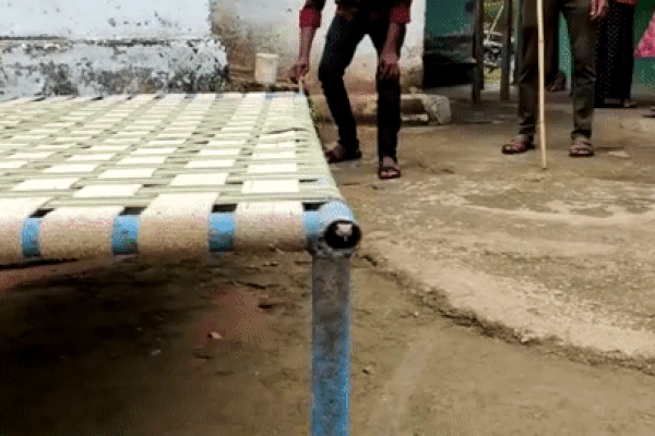 Hoảng hồn phát hiện rắn hổ mang bơi tung tăng trong bể nước nhà tắm-1