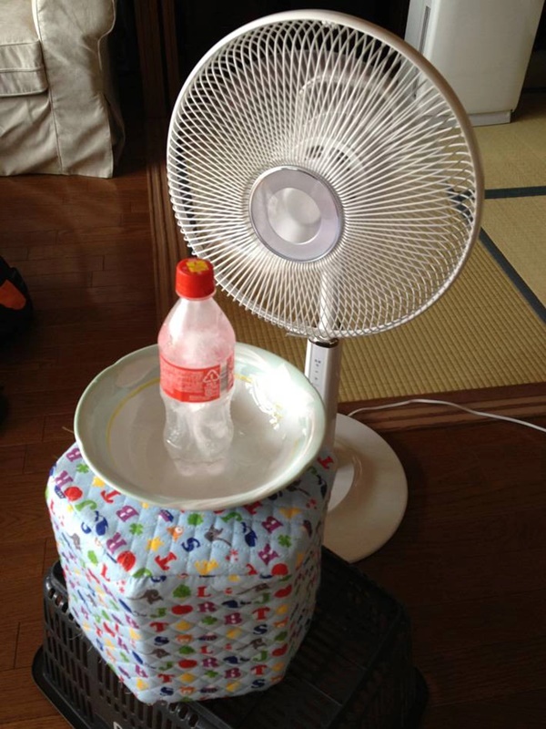 Cảnh báo kiểu dùng quạt điện có thể gây chập cháy, chết người đang hot trên Tiktok-2