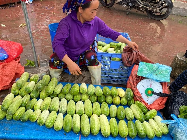 Dưa chuột siêu to khổng lồ” xuống núi, giá đắt gấp 3 lần vẫn hút khách Hà thành-2