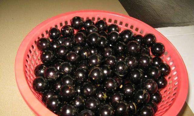 Loại nho quý tộc có giá trên trời, nhiều người nghe xong choáng váng-3