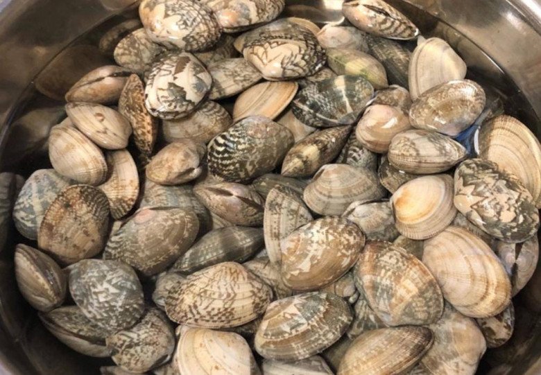 Ngao mua về ngâm với nước này chỉ 10 phút là sạch không còn một hạt cát-3