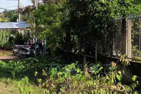 Phạt đến 15 triệu đồng với hành vi đốt tiền thật-1