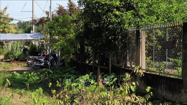 Một bé trai 8 tuổi bị chó Pitbull cắn tử vong-1