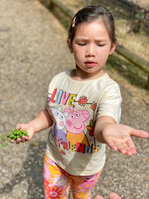 Nhóc tỳ sao Việt đi nước ngoài nghỉ hè: Hà Anh - Hà Hồ đưa con về quê chồng, 1 ái nữ được vi vu Châu Âu-10