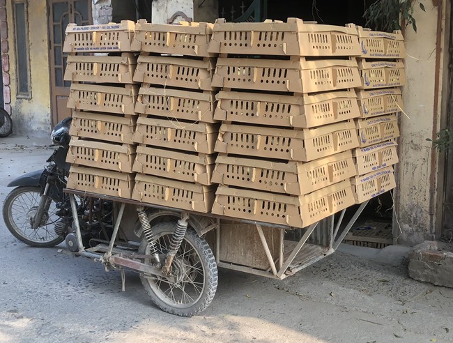 Mục sở thị thủ phủ mỗi ngày xuất hàng vạn giống gà con-12