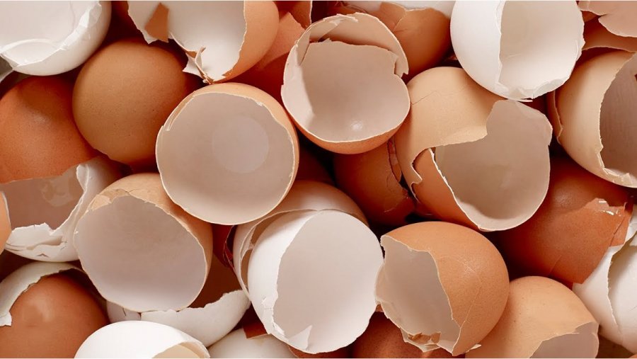 Đừng vứt vỏ trứng đi, bỏ vào ấm điện điều bất ngờ sẽ xảy ra: Công dụng tuyệt vời nhiều người đang tìm kiếm-1