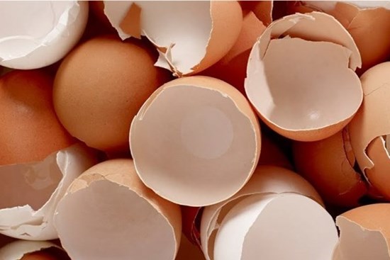 Đừng vứt vỏ trứng đi, bỏ vào ấm điện điều bất ngờ sẽ xảy ra: Công dụng tuyệt vời nhiều người đang tìm kiếm