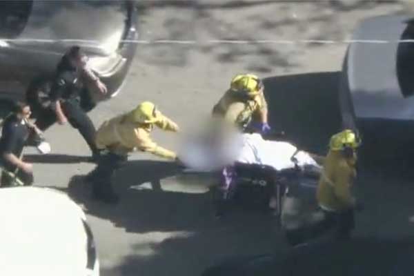 Phát hiện chiếc Mercedes-Benz bị chôn trong vườn ngôi nhà 15 triệu USD-3