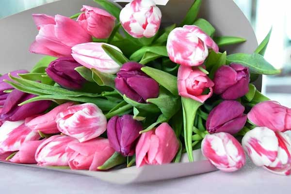 Thần Tài chấm sổ vàng: Cuối năm 2022, nhà có 3 con giáp nữ này hứng hết lộc trời, tiền vào như nước-4